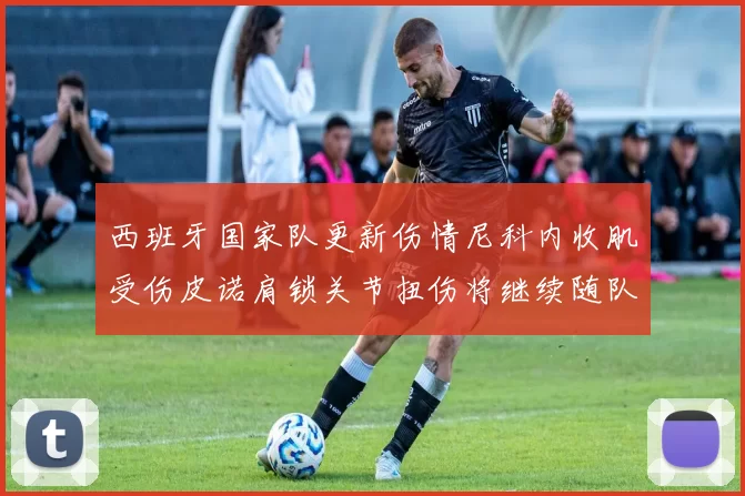 西班牙国家队更新伤情尼科内收肌受伤皮诺肩锁关节扭伤将继续随队训练
